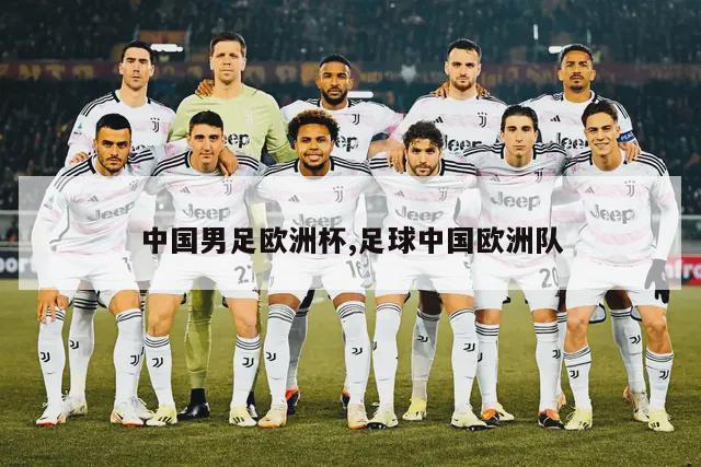 中国男足欧洲杯,足球中国欧洲队